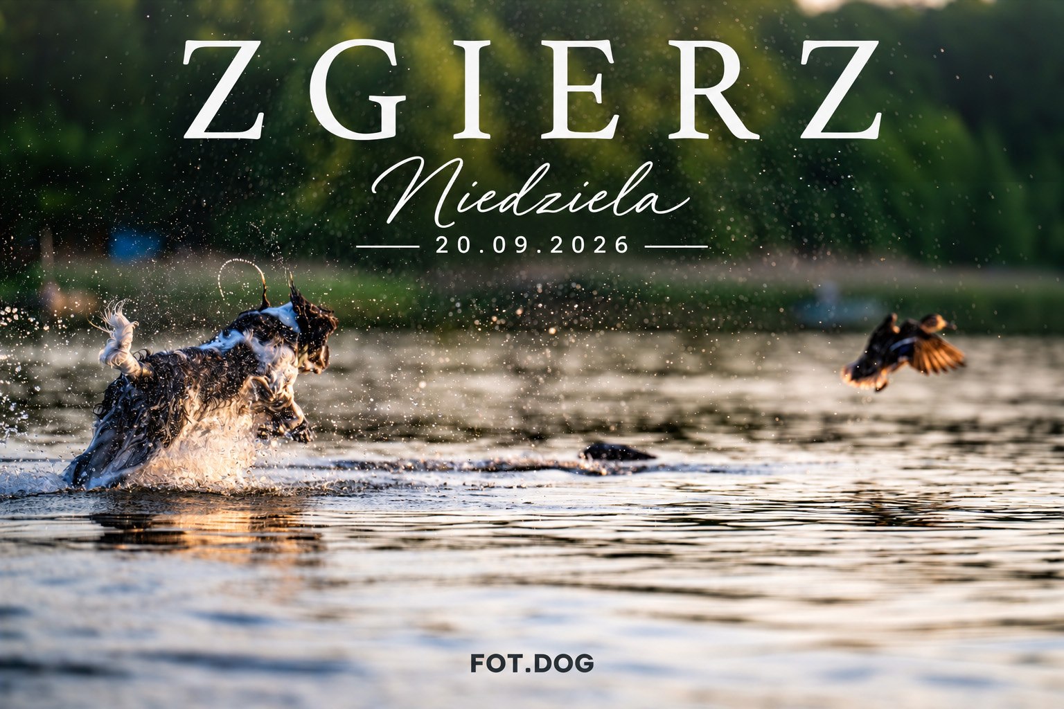 Zgierz Niedziela